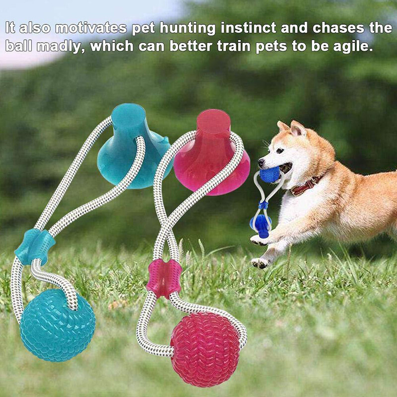 floor suction dog toy